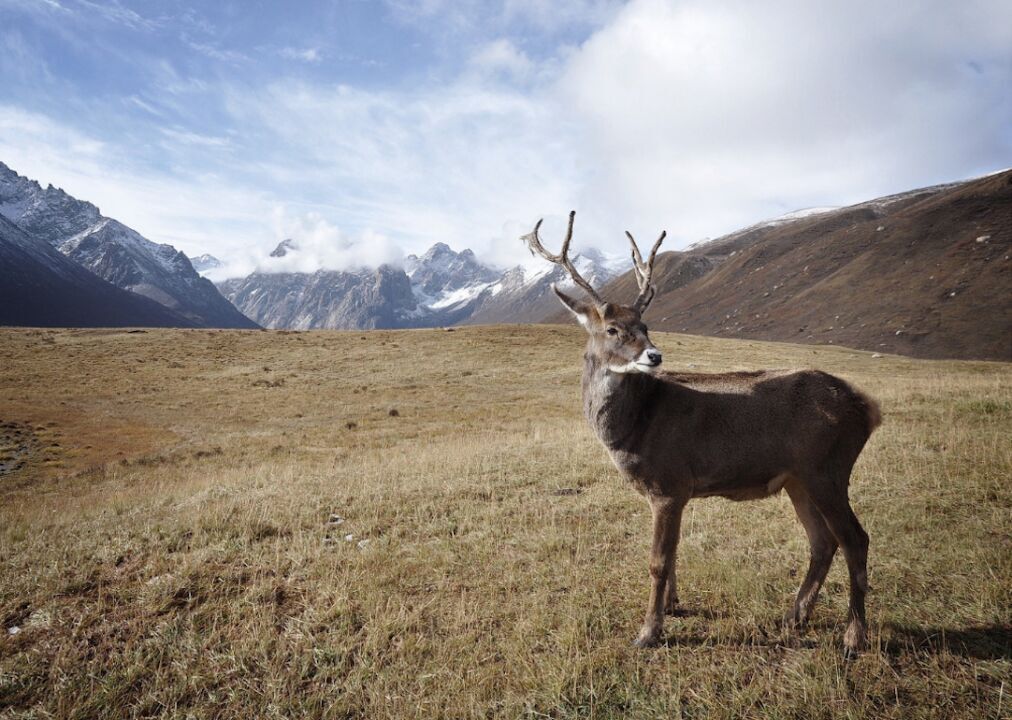 #50. Alaska